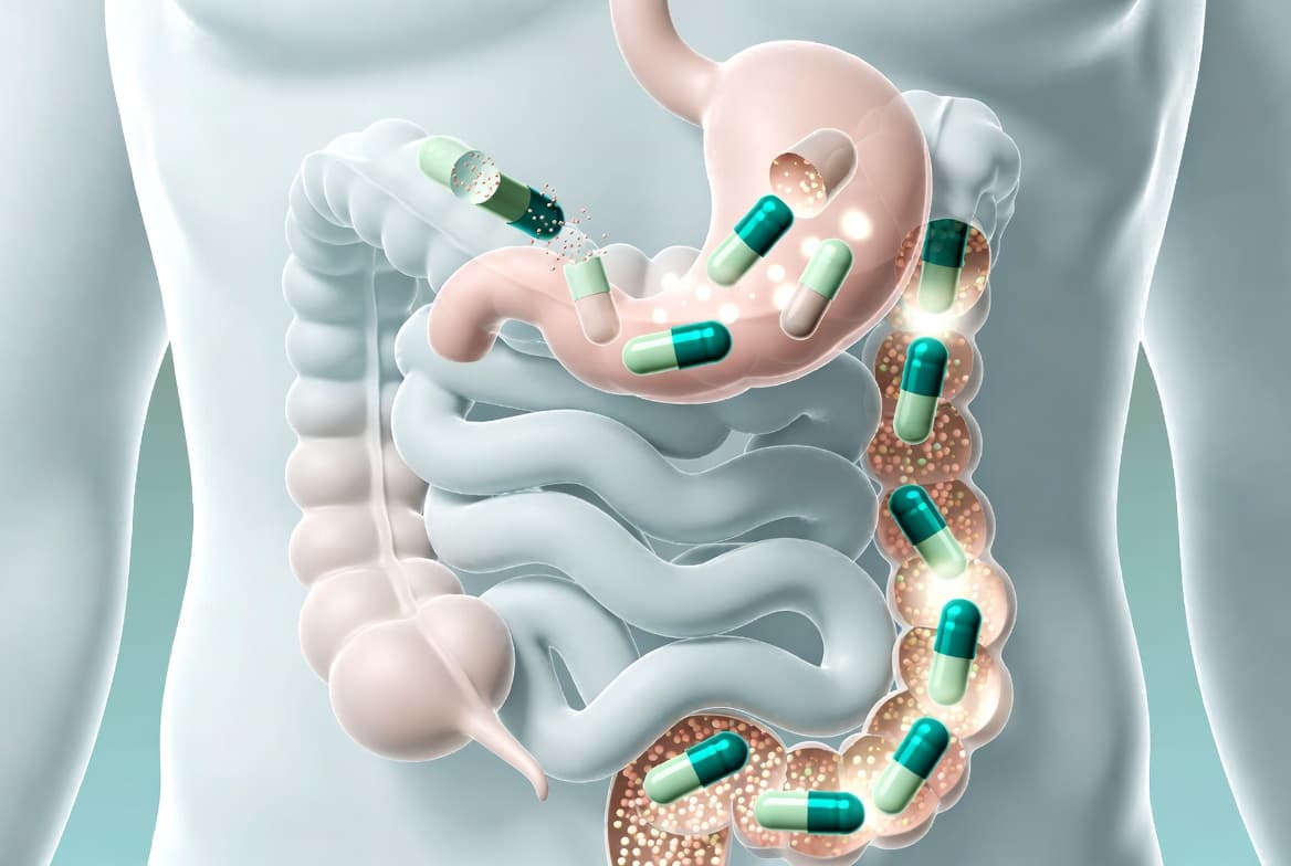 Delayed-Release Capsules vs. Standard Encapsulation: Solving the Problem of Acid-Sensitive Probiotic Survival